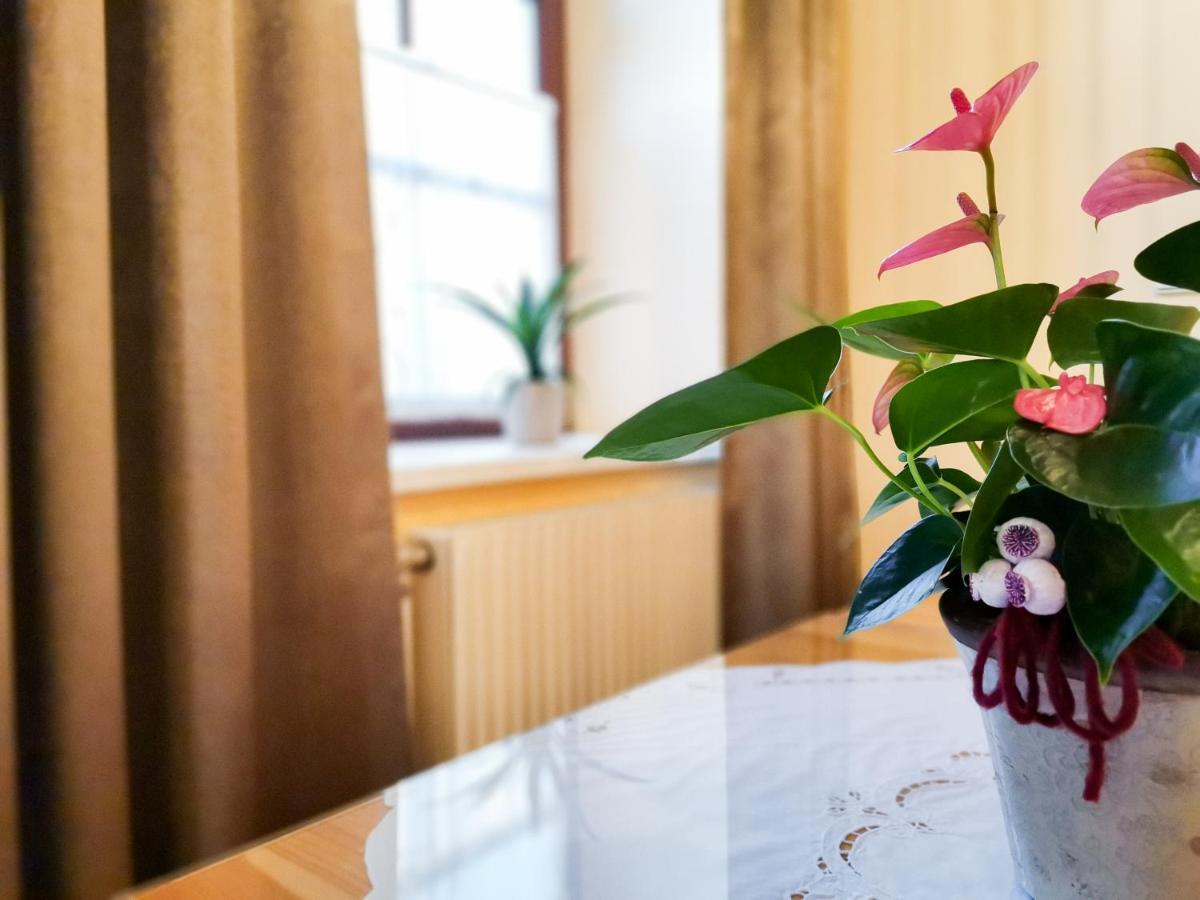 Gaestehaus Doris Пурбах-ам-Нойзидлер-Зе Экстерьер фото